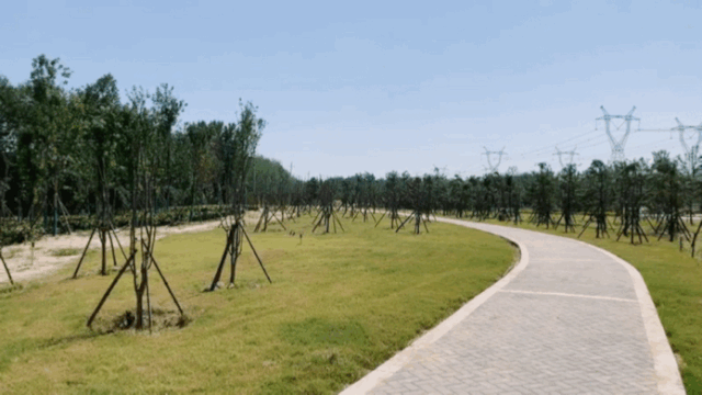 小而美，郑州这些公园你不容错过