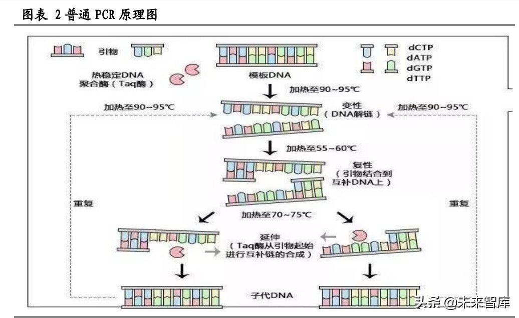 伴随诊断行业研究：核心技术突破不断，伴随诊断迎高速发展期