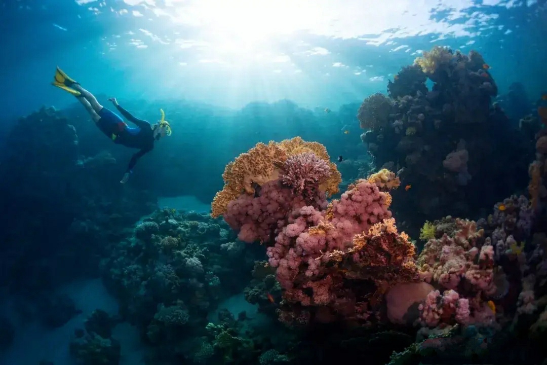 另一个角度看海南！重磅经济政策下的海南，那