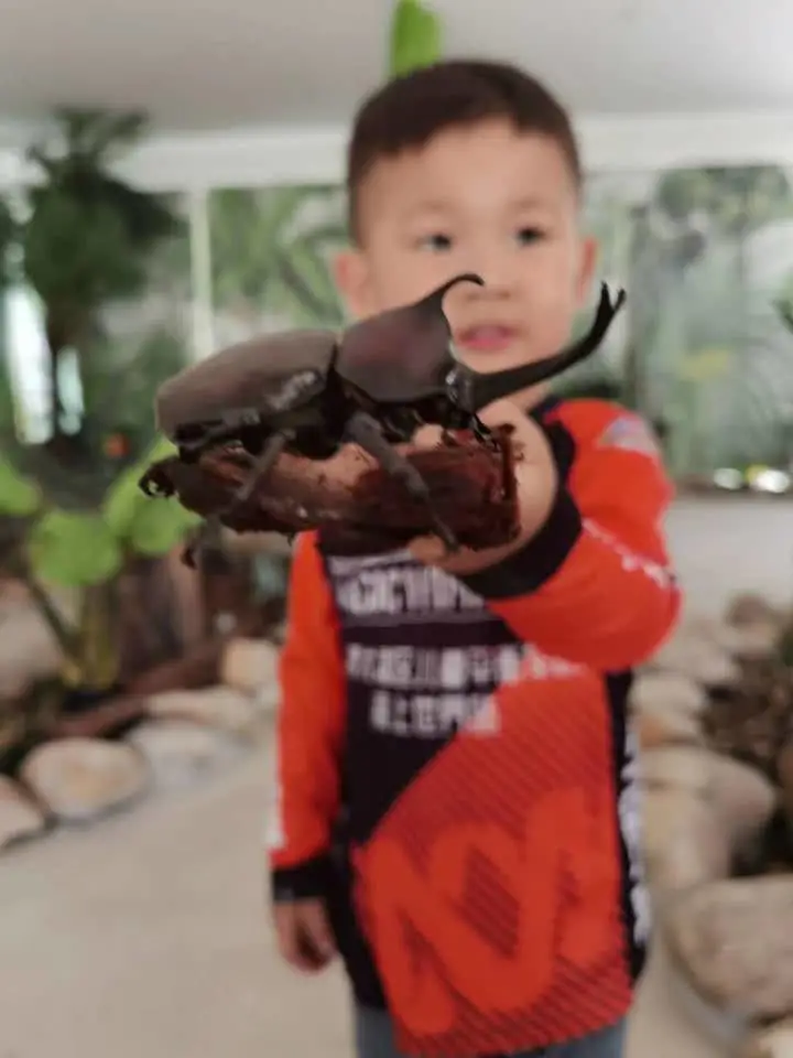 深圳又一遛娃胜地，城市中的自然成长乐园，野趣精致的户外营地