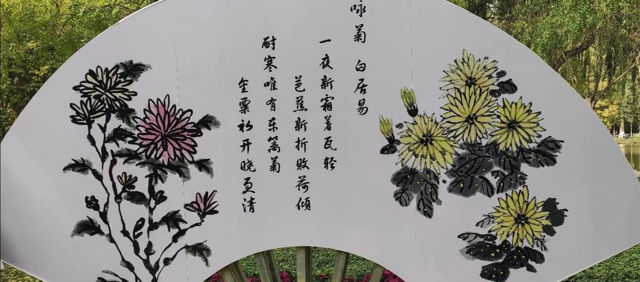 带你一览秋日美景，惊艳了时光，沉醉了岁月-第1张图片-非凡网