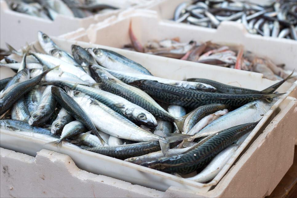 Seafood is the "culprit" of gout?Doctor People with high uric acid