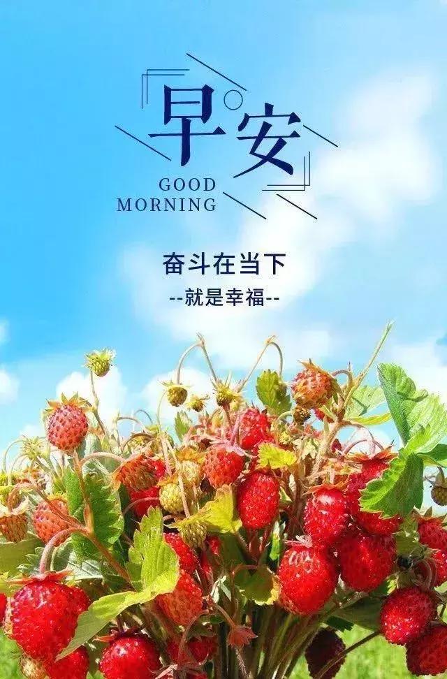 靠谁都不如靠自己的句子发朋友圈 从此不再指望任何人的说说图片