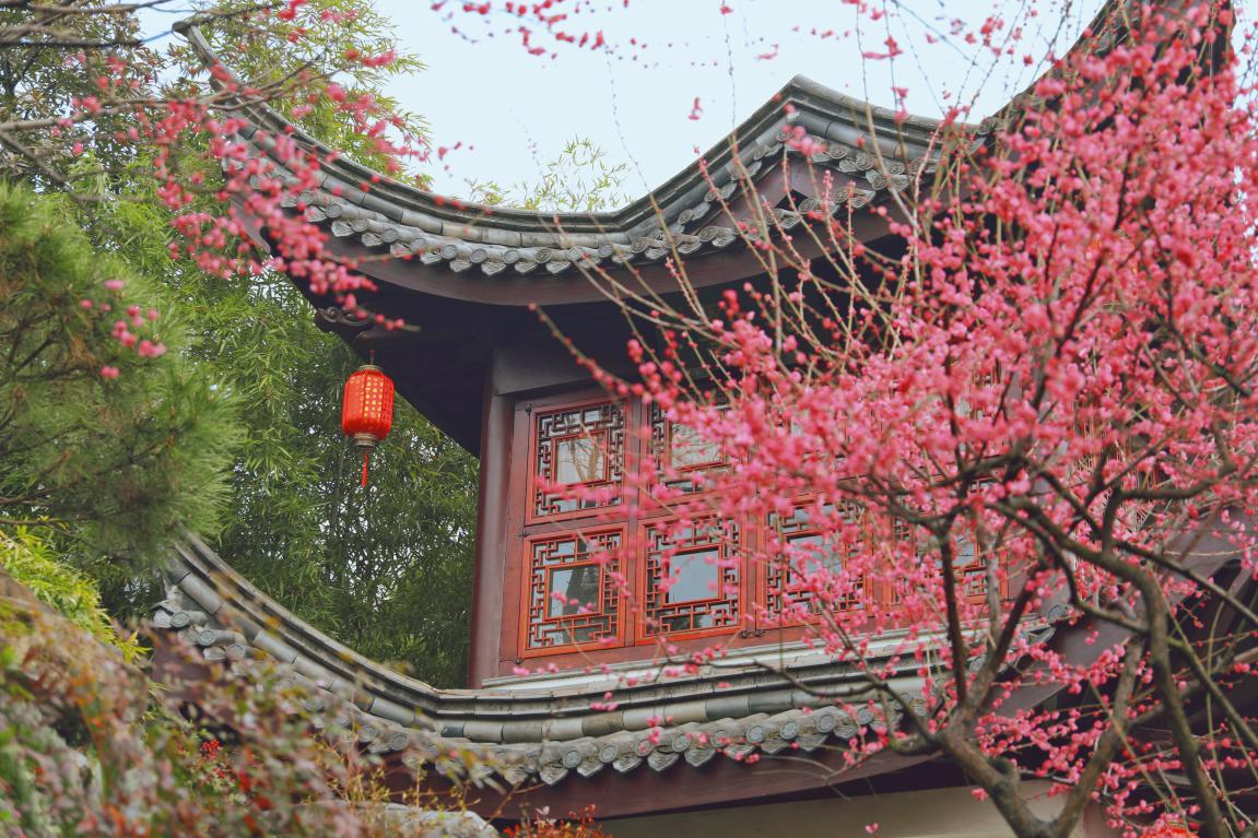 宝马和迈巴赫送哪个更豪气？喜尔康首家线上年会直播超乎想象
