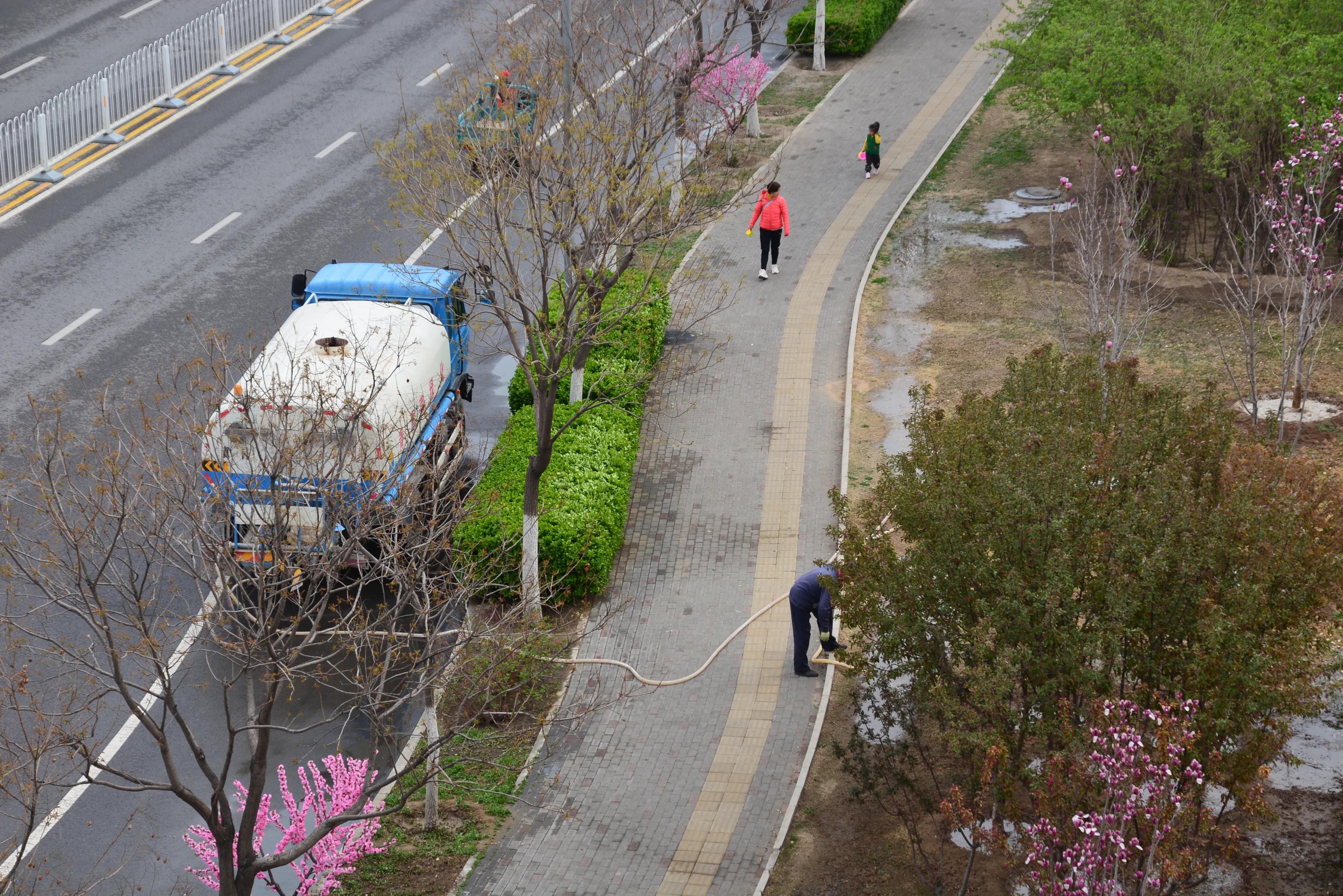 视觉世界：春天的脚步