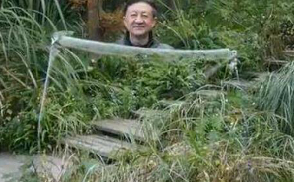 ��ɫ�����������������Ͼ���Ѹ�������������˶Դ˱�ʾ��Ľ����