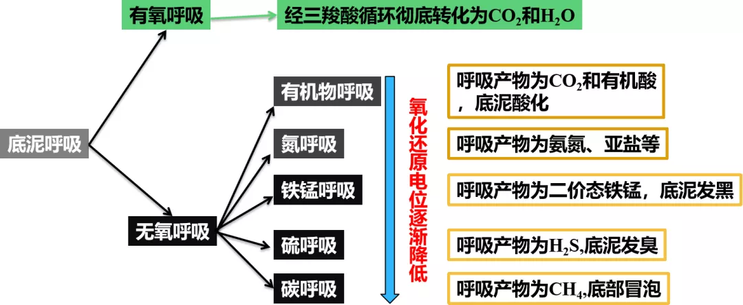 池底冒泡须留意！技术高手告诉你成因及影响，这些防控措施要做好