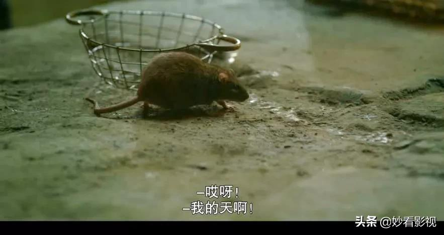一盘散沙和稀泥——《绝夜逢生第2季》
