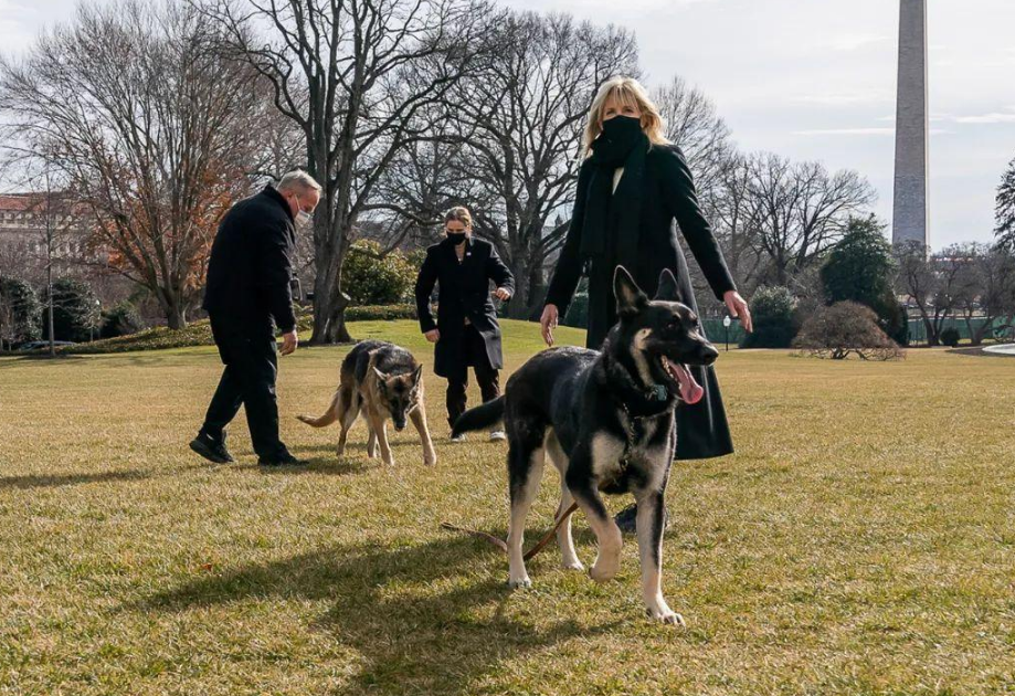 原来她才是白宫真正的“掌权人”？拜登身体不