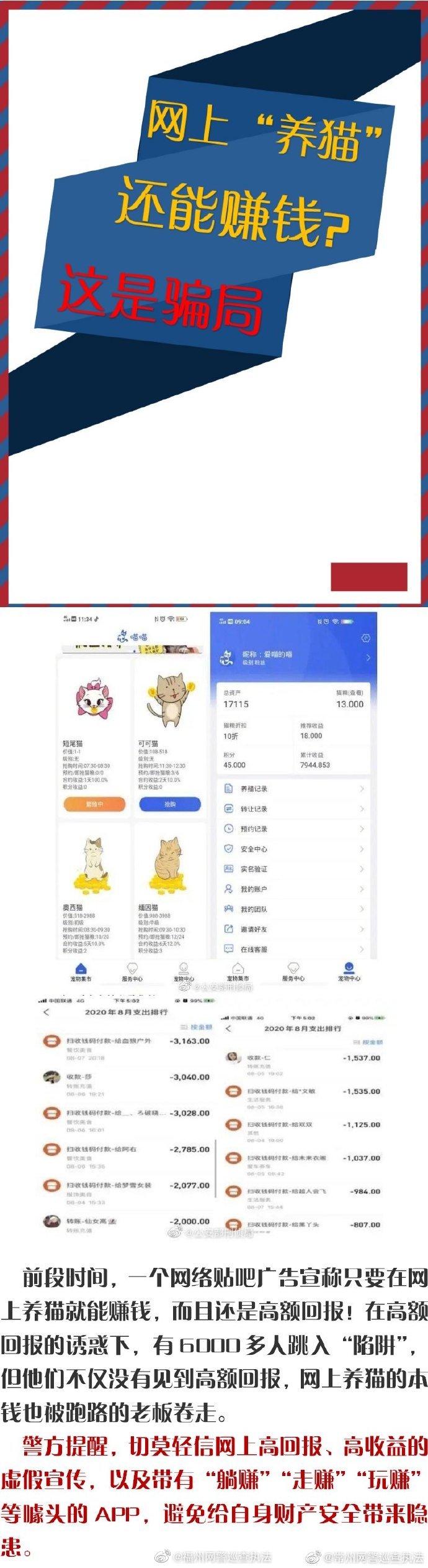网上“养猫”还能赚钱？这是骗局