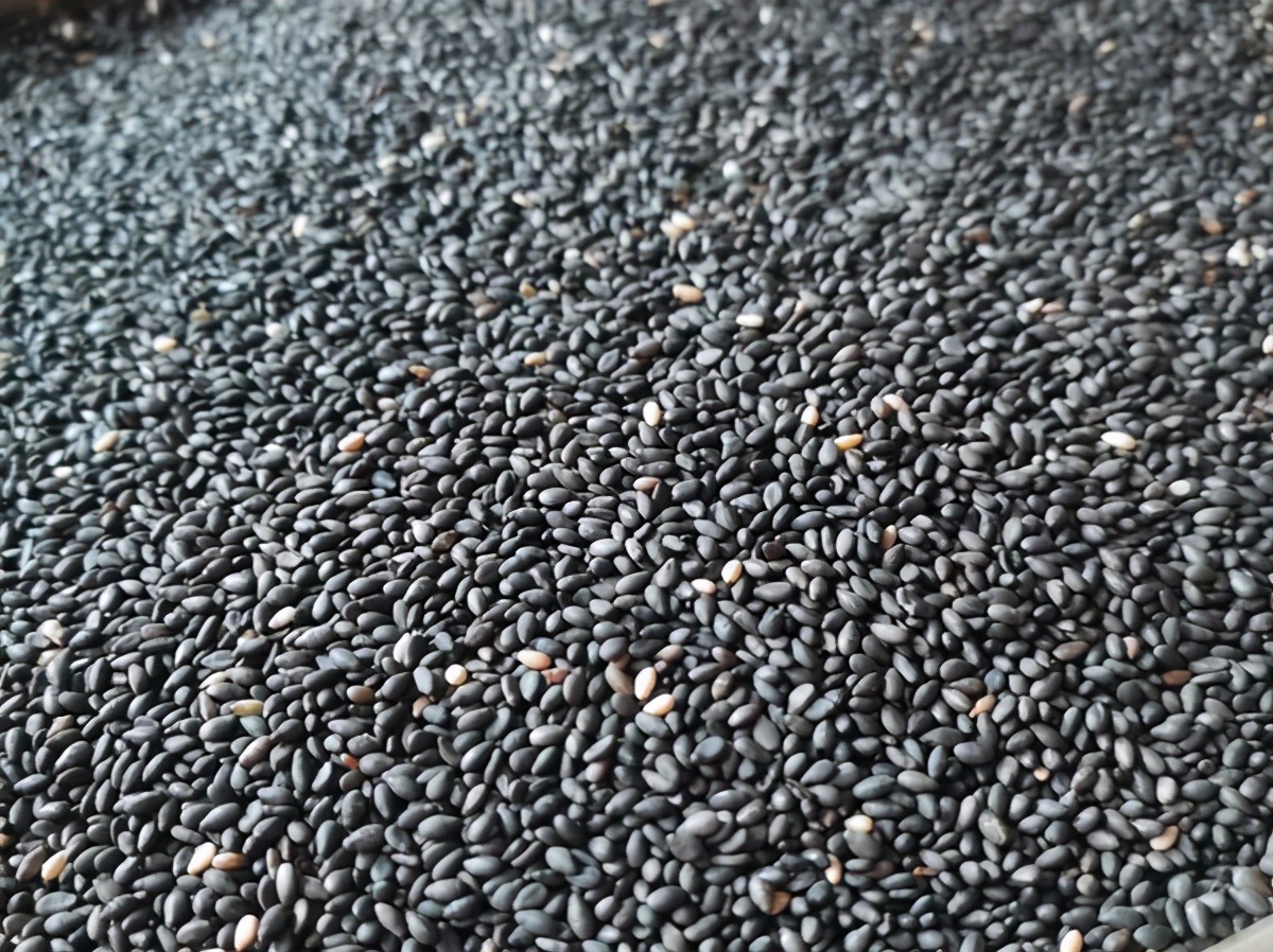 The 5 best ways to eat black sesame seeds iMedia