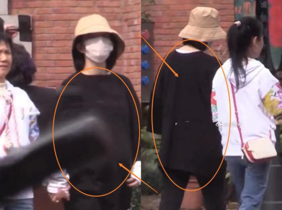 谢娜2胎孕照首曝光，身材发福走路颤巍需搀扶，感觉像要生了