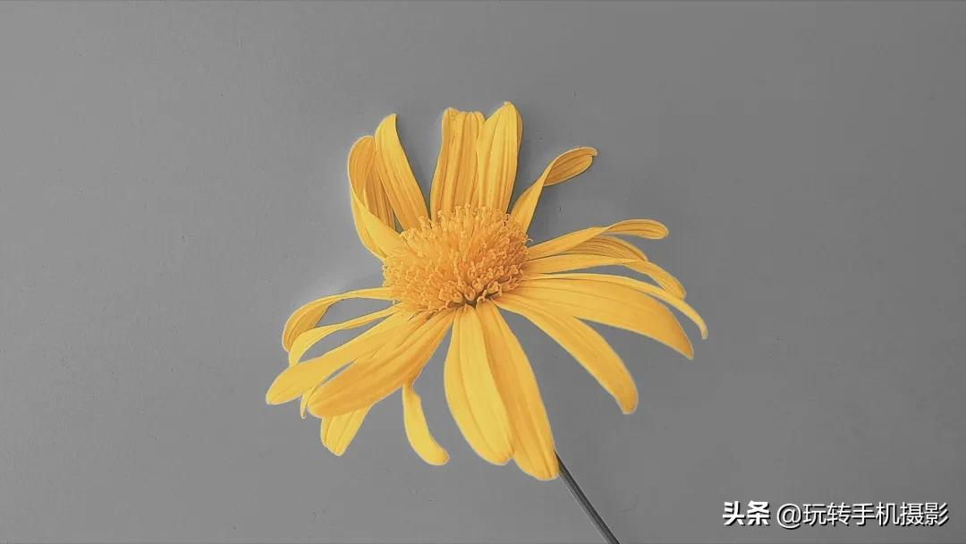 華為相冊的神仙功能,你真的會用嗎?