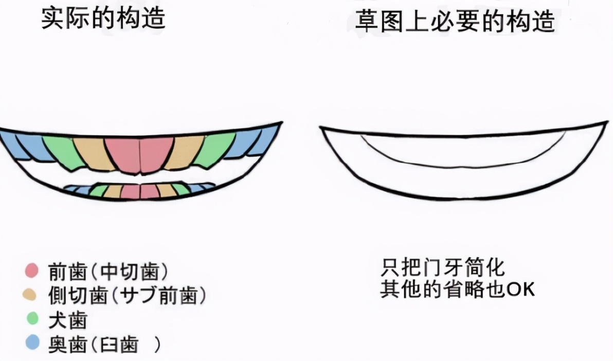 二次元嘴巴结构怎么画？教你掌握画嘴技巧诀窍，拒绝歪嘴战神