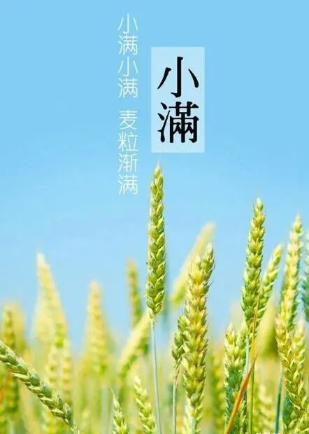 《七绝 农忙》