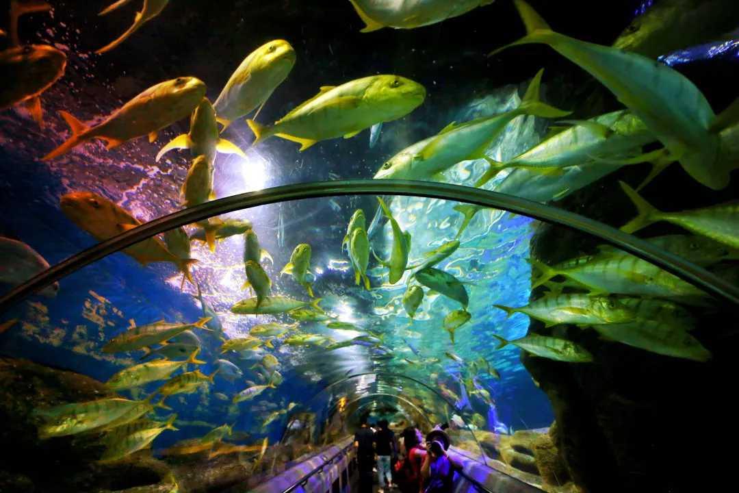 安宁太平新城海洋公园到底建不建？