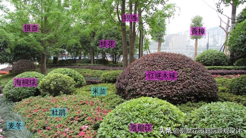 別墅庭院常用植物分享，附照片及名字標(biāo)注（珍藏版）