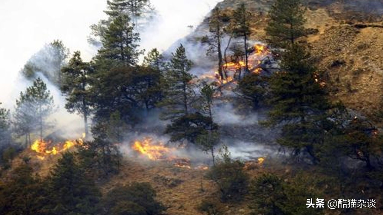 十大全球性危機，我們距離一場全球性危機越來越近了
