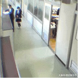 搞笑动图图片：二哈，今天TM的遇上对手了！