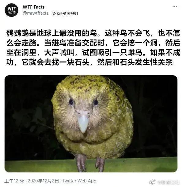 一位推特用户搜集“听起来很假，但是真事”的事件汇总，过于沙雕