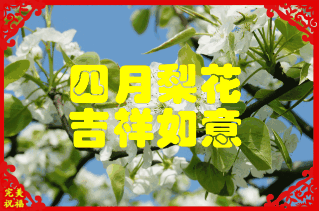 今日元宵节，祝福送上