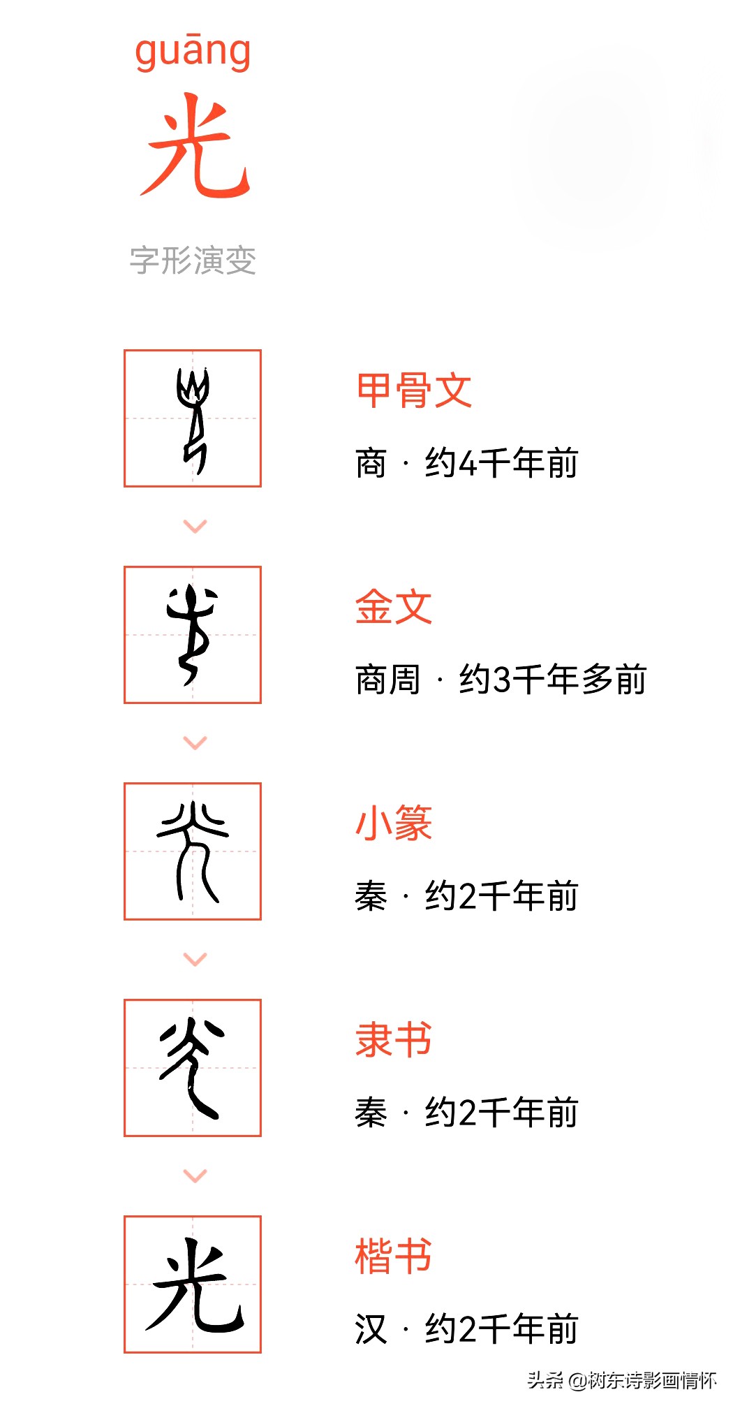 樹東說文解字：「光」字的演變，「光」字的詩句，「光」字的成語 - 頭條匯