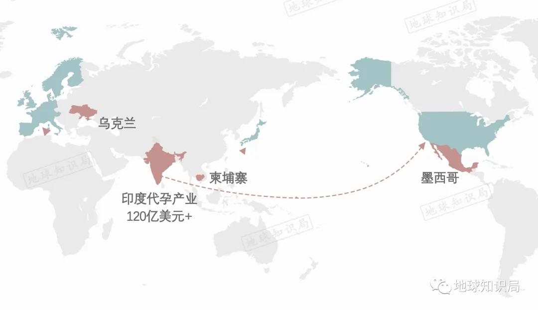 代孕工廠，在這裏 | 地球星空体育官网入口网站局