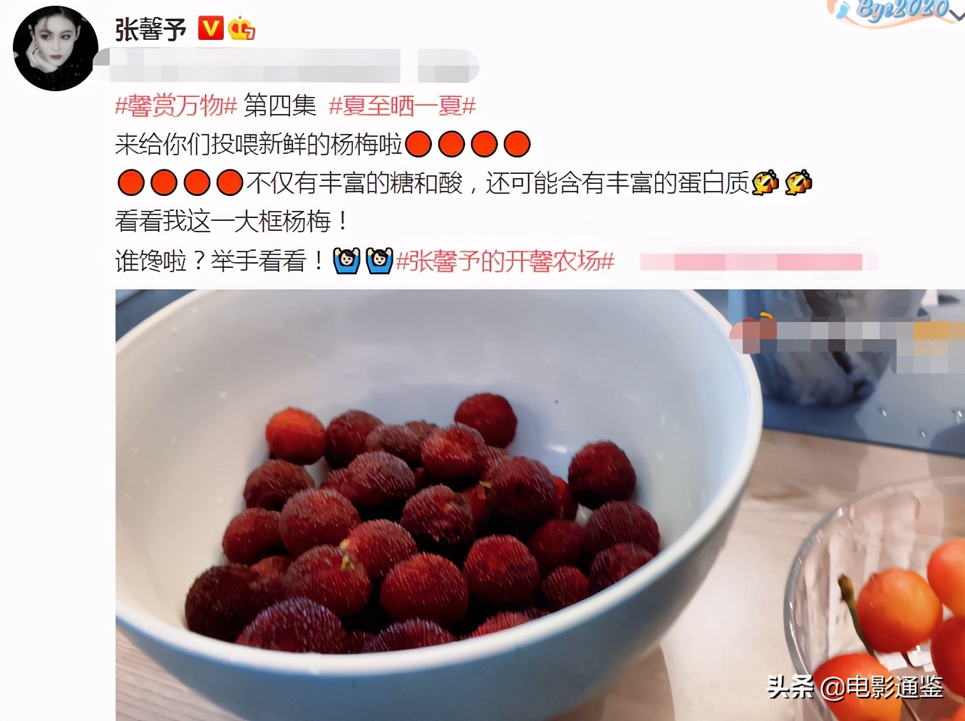 張馨予的家不是一般大！種菜種花不算啥，家庭版魚(yú)池太豪華了吧