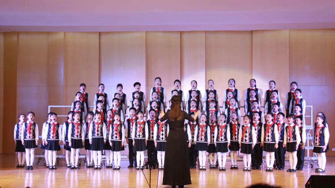 阳光下成长丨成都市双流区棠湖小学参加区第十三届中小学艺术节