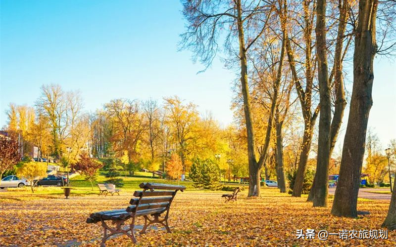 乡村田园综合体4大共生发展模式及策略