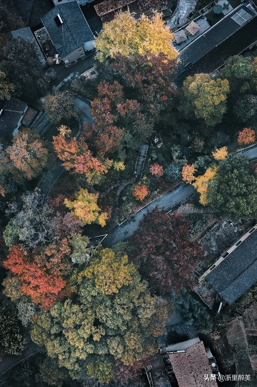 10 ancient towns with beautiful autumn colors, if you are tired, go to stay for a few days