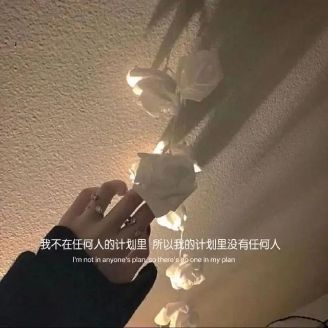 不再留恋的句子 表明从此不再见的句子图片