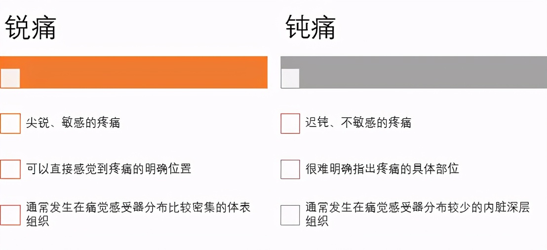 止痛藥是一粒解千愁還是洪水猛獸？