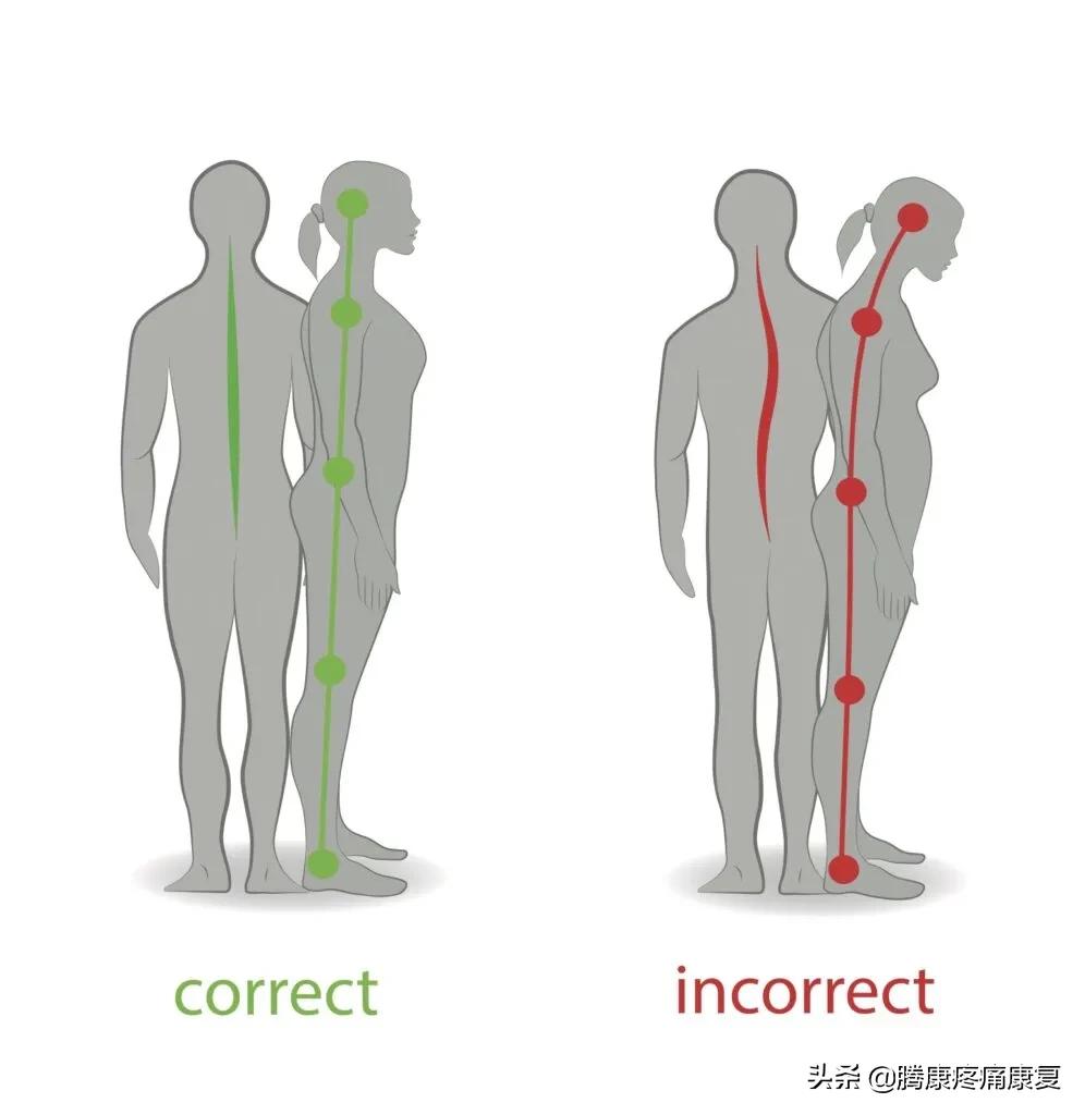 How does the body maintain posture and balance? iNEWS