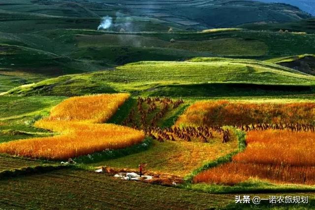 乡村4.0，应从宏观、中观、微观几方面构建一个综合体系