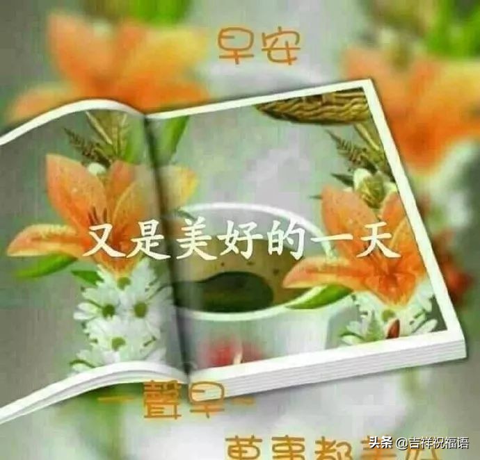 早安让人看了舒服的句子图片图片