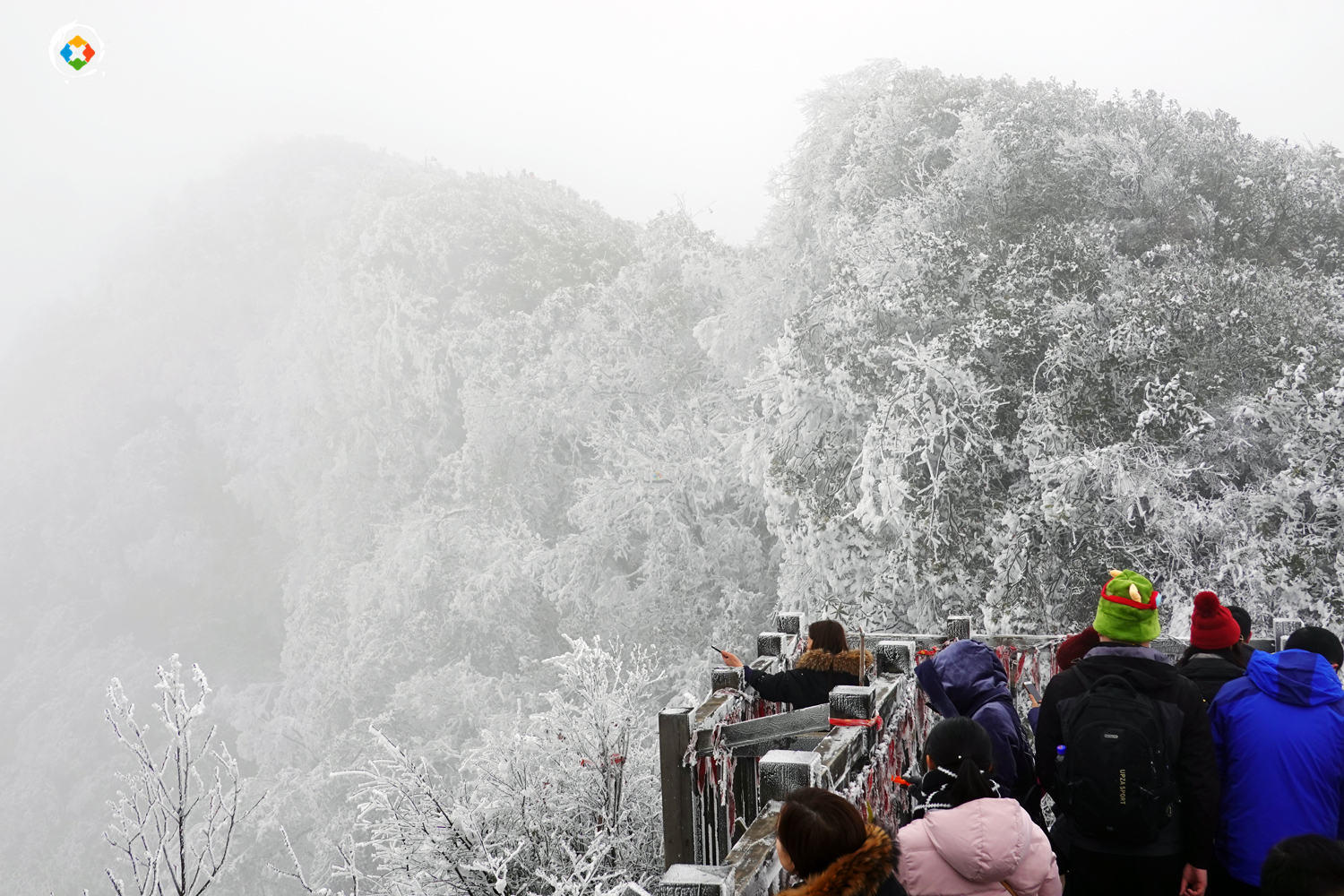 重庆金佛山冬日游：这个国家级5A景区，是不是真的徒有虚名？