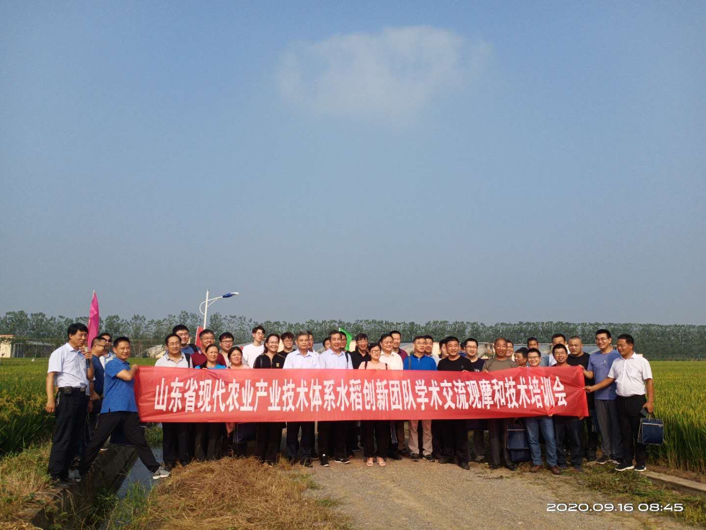 山东省现代农业产业技术体系水稻创新团队学术交流现场观摩和技术培训会在临沂召开