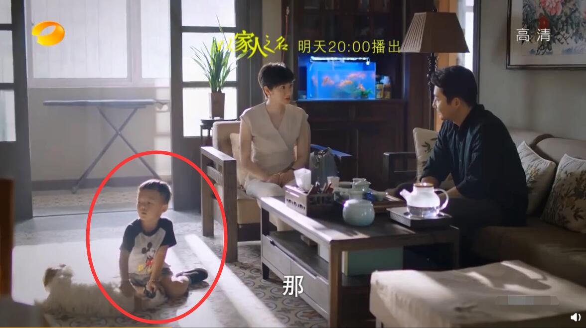 身份|以家人：冬冬身份曝光贺梅终洗白 陈婷破坏凌霄生日宴场面一度尴尬