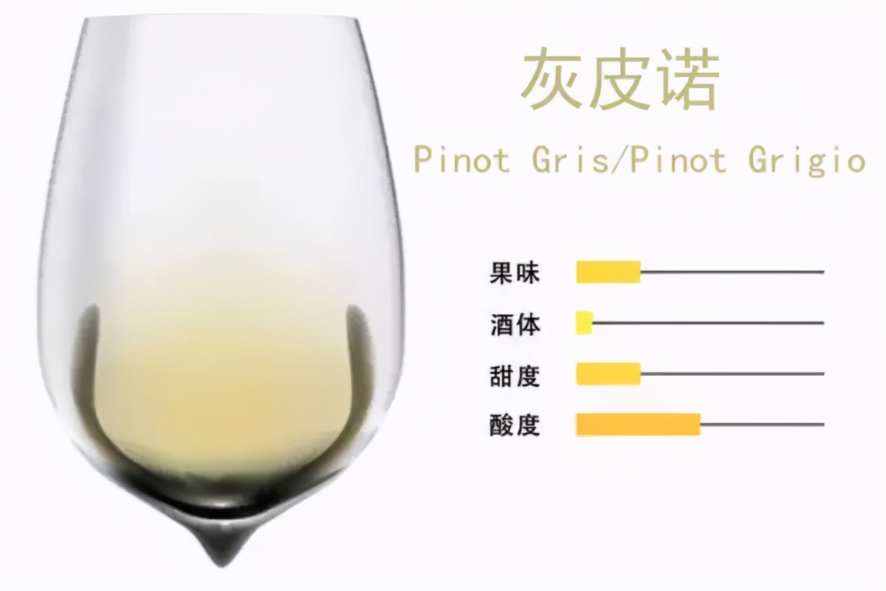全世界最流行的24大葡萄品种，3分钟看完就算入门了
