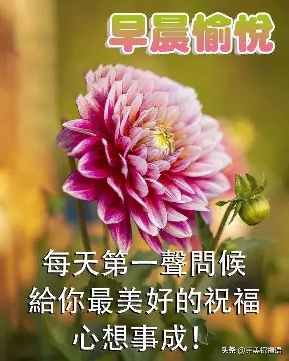 早上好唯美暖心问候语 早安祝福语漂亮图片图片