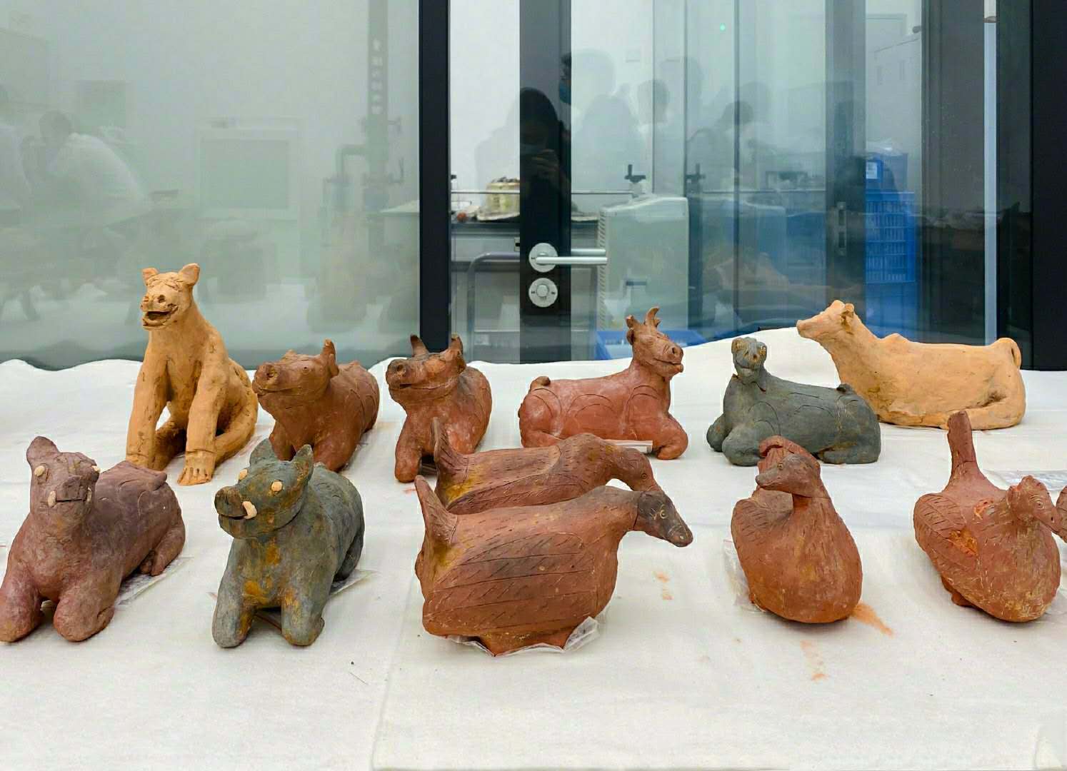 广州一中学发现125座古墓学校建在墓地上学生惊不惊喜