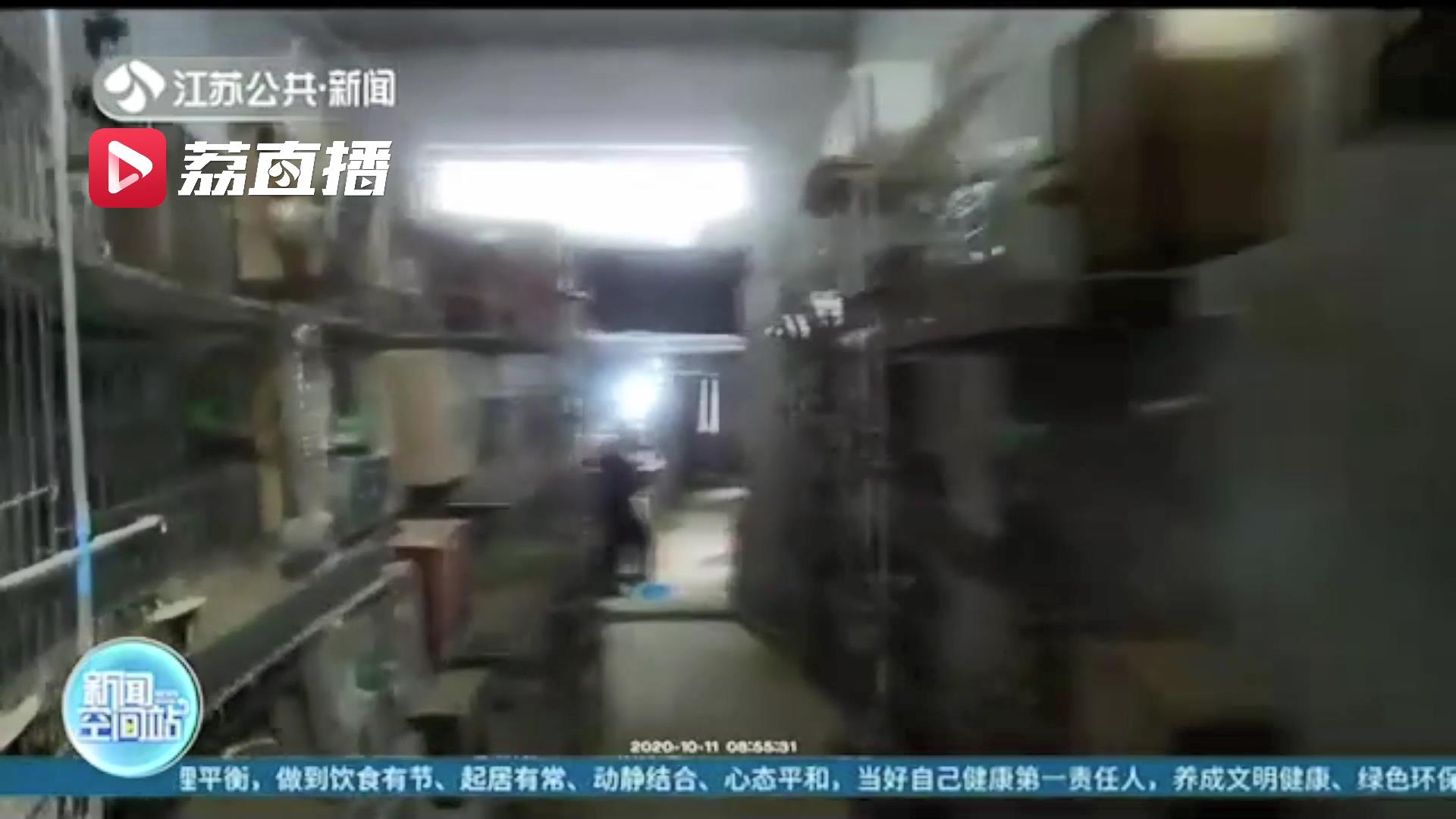 贩卖的鹦鹉是国家二级保护动物 还建了不小的鸟类养殖场 三人被刑拘