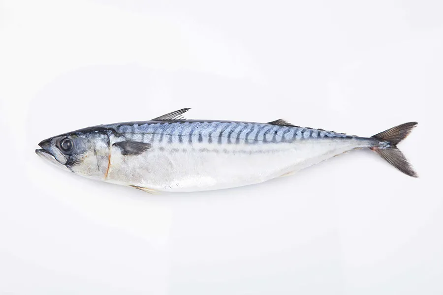 公司新闻 顺景发集团官网