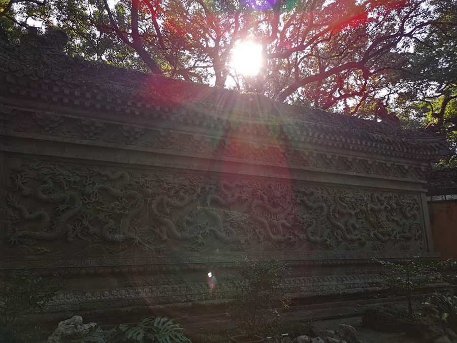 “海天佛国”普陀山朝圣见闻录