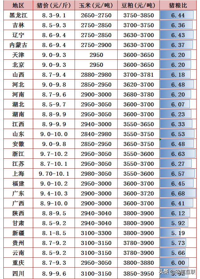 俄罗斯牛肉对华出口猛涨26倍，猪肉价跌惨，养猪盈利不足300元