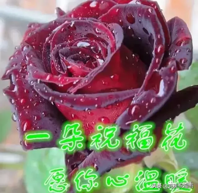 不管|初二早上好不管你身在何方 收到这份祝福你就是最有福的