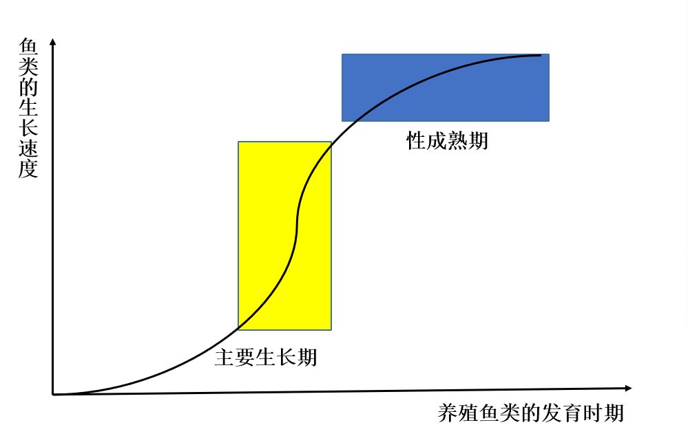 【水产养殖】鱼儿怎样才能长的快？6大因素揭秘鱼类的生长