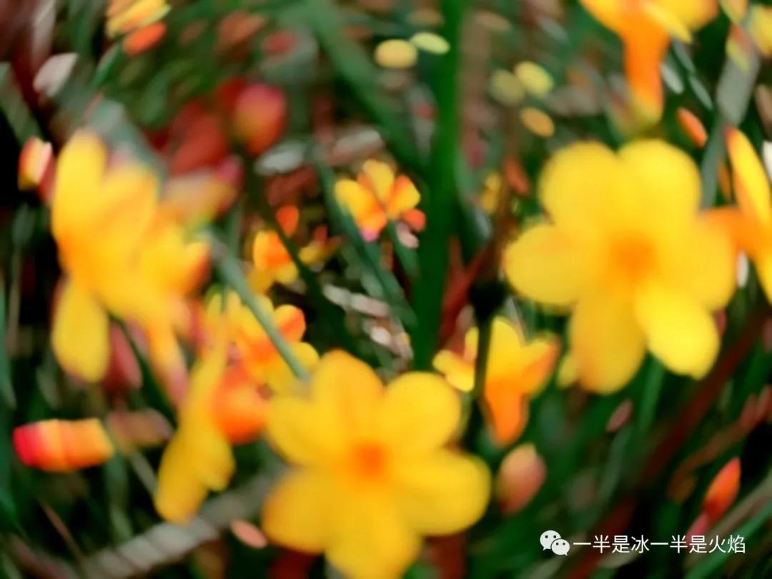 散文诗：春日宴（三章）-第1张图片-非凡网