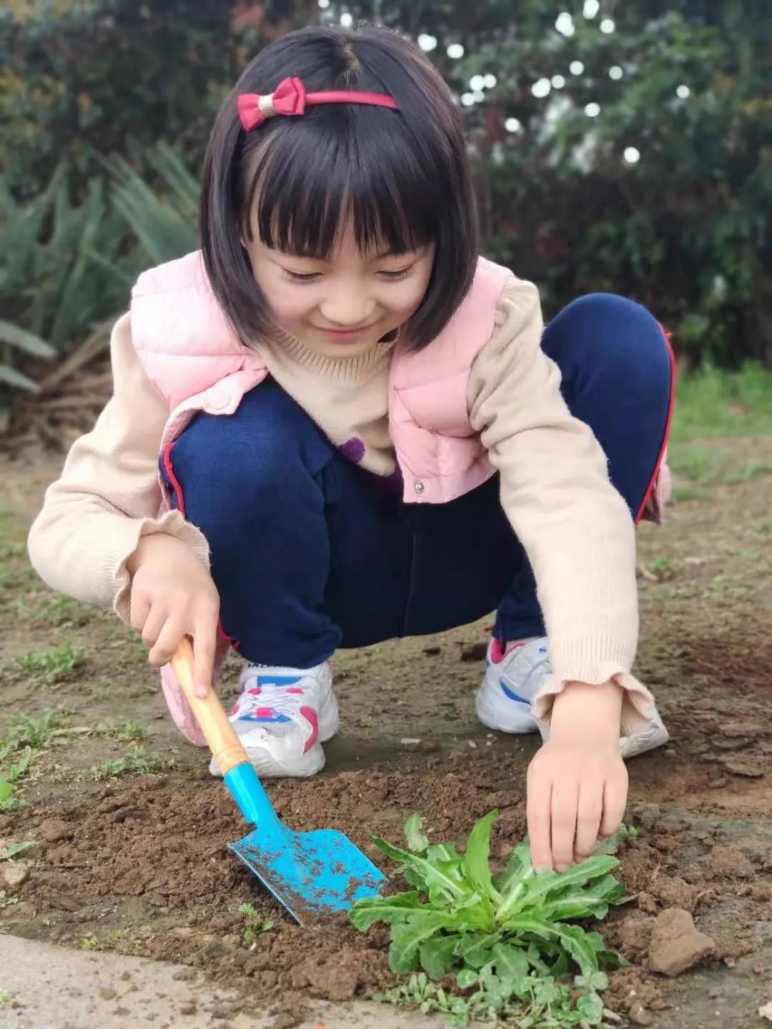 ��֮��.ֲ�̻���--�����еھ�Сѧֲ���ڻ��Ӱ